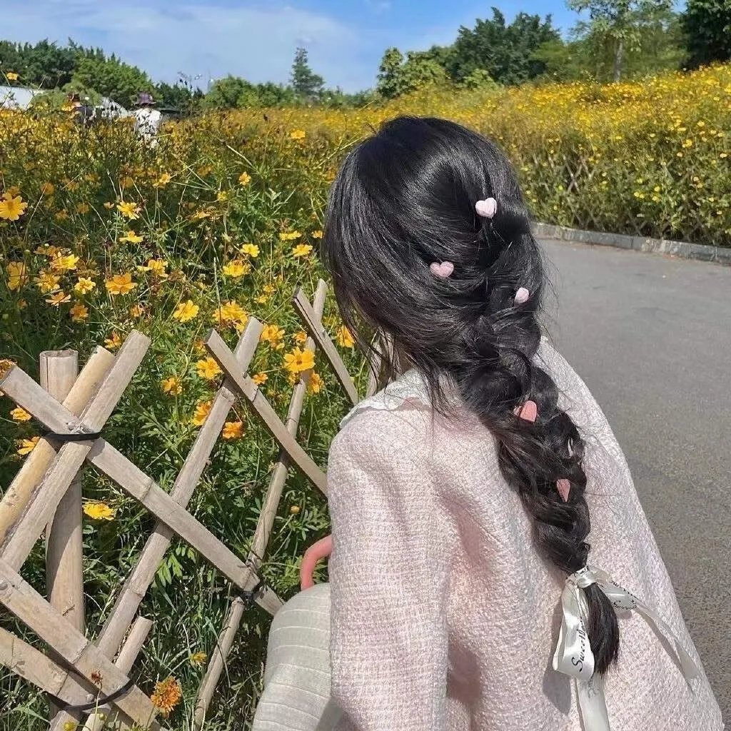 海岛之恋封面